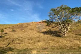 Terreno / Lote / Condomínio à venda, 3000m² no Salvaterra, Juiz de Fora - Foto 26