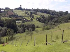 Fazenda / Sítio / Chácara com 3 Quartos à venda, 200m² no Boa Vista dos Silva, Bragança Paulista - Foto 26