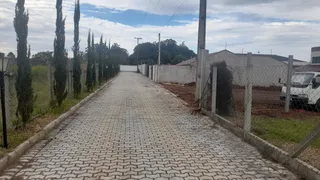 Fazenda / Sítio / Chácara com 3 Quartos à venda, 5500m² no Campina do Taquaral, São José dos Pinhais - Foto 9