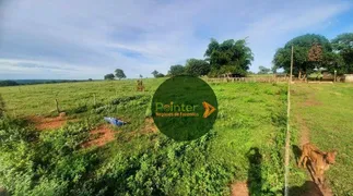 Fazenda / Sítio / Chácara à venda, 56m² no Zona Rural, Cassilândia - Foto 2