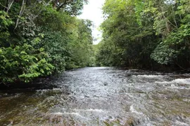 Terreno / Lote / Condomínio à venda, 200000m² no , Presidente Figueiredo - Foto 3