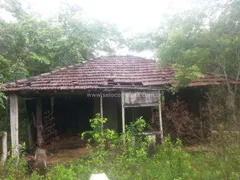 Fazenda / Sítio / Chácara com 1 Quarto à venda, 80000000m² no Zona Rural, Itiquira - Foto 9