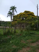 Fazenda / Sítio / Chácara à venda, 49000m² no Area Rural de Valparaiso de Goias, Valparaíso de Goiás - Foto 6