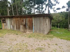 Fazenda / Sítio / Chácara com 4 Quartos à venda, 31000m² no Vila Seca, Caxias do Sul - Foto 10