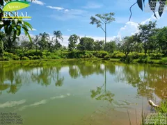 Fazenda / Sítio / Chácara com 2 Quartos à venda, 20000m² no Zona Rural, Bela Vista de Goiás - Foto 2