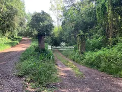 Fazenda / Sítio / Chácara à venda, 30000m² no Mato Queimado, Gramado - Foto 4