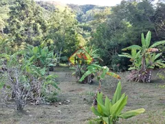 Fazenda / Sítio / Chácara com 4 Quartos à venda, 340m² no Area Rural de Taubate, Taubaté - Foto 5