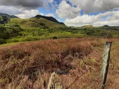 Fazenda / Sítio / Chácara com 2 Quartos à venda, 1476m² no Centro, Santa Maria Madalena - Foto 5