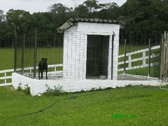 Fazenda / Sítio / Chácara com 2 Quartos à venda, 420m² no 4 Km do Centro, Embu-Guaçu - Foto 37