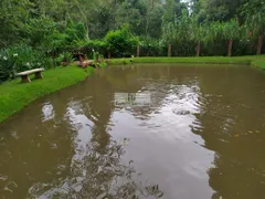 Fazenda / Sítio / Chácara com 4 Quartos à venda, 4000m² no Zona Rural, Igarapé - Foto 3