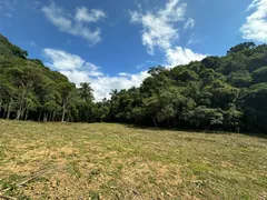 Fazenda / Sítio / Chácara à venda, 20000m² no Saltinho, Campo Alegre - Foto 15