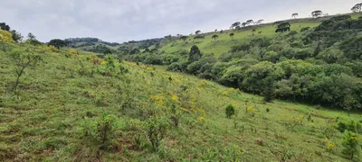 Fazenda / Sítio / Chácara à venda, 150000m² no Centro, São Joaquim - Foto 13