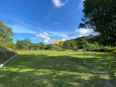 Fazenda / Sítio / Chácara com 4 Quartos à venda, 50000m² no , Pedras de Fogo - Foto 26