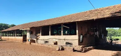 Fazenda / Sítio / Chácara à venda, 251500m² no Iguipora, Marechal Cândido Rondon - Foto 10