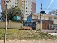 Terreno / Lote Comercial para alugar, 294m² no Água Verde, Curitiba - Foto 3