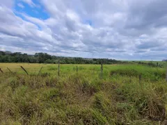 Terreno / Lote / Condomínio para alugar, 56319m² no NOVA SUICA, Piracicaba - Foto 4