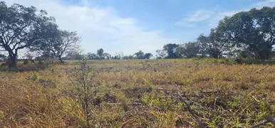 Fazenda / Sítio / Chácara à venda, 20000m² no Zona Rural, Baldim - Foto 6