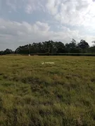 Fazenda / Sítio / Chácara com 4 Quartos à venda, 45000m² no Zona Rural, Pelotas - Foto 3