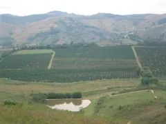 Fazenda / Sítio / Chácara com 4 Quartos à venda, 5000m² no Zona Rural, Serra Negra - Foto 7
