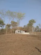Fazenda / Sítio / Chácara com 2 Quartos à venda, 110m² no Zona Rural, Bonfinópolis - Foto 3