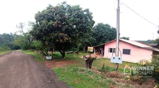 Fazenda / Sítio / Chácara com 4 Quartos à venda, 5000m² no , Presidente Castelo Branco - Foto 6