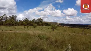 Terreno / Lote / Condomínio à venda, 10000m² no Universitário, Sete Lagoas - Foto 7