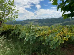 Terreno / Lote / Condomínio à venda no Centro, Monte Belo do Sul - Foto 13