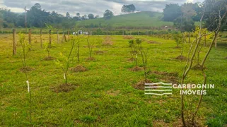 Fazenda / Sítio / Chácara com 40 Quartos à venda, 1000m² no Tataúba, Caçapava - Foto 5