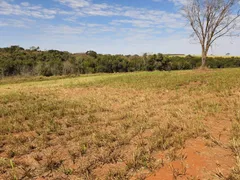 Fazenda / Sítio / Chácara à venda, 2m² no Centro, Tanabi - Foto 8