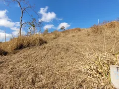 Terreno / Lote / Condomínio à venda, 507m² no Filgueiras, Juiz de Fora - Foto 9