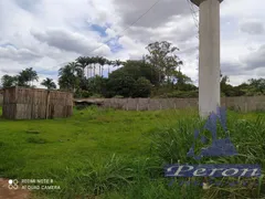 Fazenda / Sítio / Chácara com 2 Quartos à venda, 3225m² no Conjunto Vale Azul, Sarandi - Foto 4