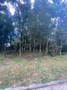 Terreno / Lote / Condomínio à venda, 802m² no Floresta, Gramado - Foto 17
