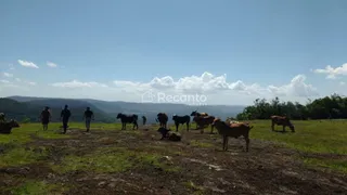 Fazenda / Sítio / Chácara à venda, 620000m² no Mato Queimado, Gramado - Foto 5