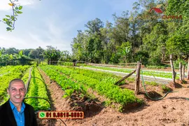 Fazenda / Sítio / Chácara com 2 Quartos à venda, 120m² no Campo da Brazina, Araricá - Foto 22