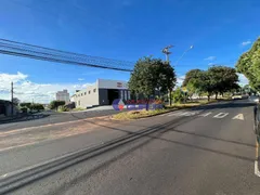 Terreno / Lote Comercial à venda, 7100m² no Jardim Maracanã, São José do Rio Preto - Foto 7
