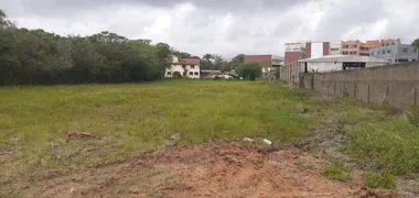 Terreno / Lote / Condomínio à venda, 5910m² no Martinica, Viamão - Foto 3