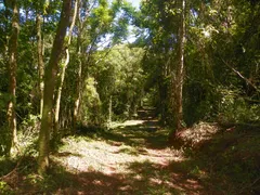 Fazenda / Sítio / Chácara à venda, 48500m² no Vila Germania, Nova Petrópolis - Foto 10