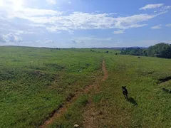 Fazenda / Sítio / Chácara à venda, 314600m² no Zona Rural, Guareí - Foto 24