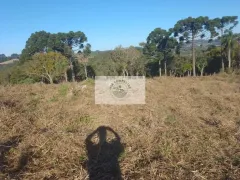 Fazenda / Sítio / Chácara com 1 Quarto à venda, 17545m² no Centro, Agudos do Sul - Foto 15