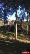 Fazenda / Sítio / Chácara com 3 Quartos à venda, 300m² no Area Rural de Sao Jose dos Pinhais, São José dos Pinhais - Foto 2
