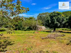 Fazenda / Sítio / Chácara com 2 Quartos à venda, 96800m² no Zona Rural, Caldazinha - Foto 19