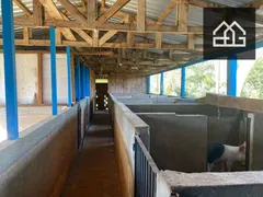 Fazenda / Sítio / Chácara com 3 Quartos à venda, 43560m² no Zona Rural, Cascavel - Foto 15