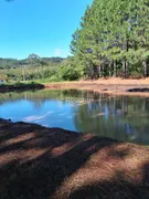 Fazenda / Sítio / Chácara à venda, 196800m² no Linha 28, Gramado - Foto 16