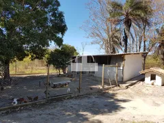 Fazenda / Sítio / Chácara com 5 Quartos à venda, 6000m² no Centro, Inhaúma - Foto 12