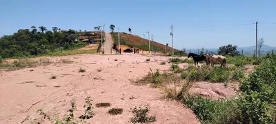 Fazenda / Sítio / Chácara à venda, 16589m² no Santa Rita de Cassia, Barra Mansa - Foto 6