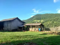 Fazenda / Sítio / Chácara com 1 Quarto à venda, 150m² no , Canela - Foto 39