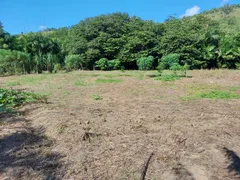 Fazenda / Sítio / Chácara com 3 Quartos à venda, 5000m² no Comunidade Urbana de Rio Grande, Guarapari - Foto 21
