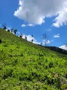 Fazenda / Sítio / Chácara à venda, 290000m² no Centro, Piranguçu - Foto 5