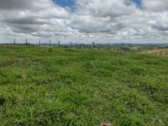 Fazenda / Sítio / Chácara à venda, 236000m² no Vila Garcia, Jacareí - Foto 8