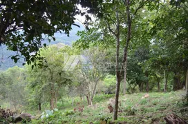 Fazenda / Sítio / Chácara à venda, 38000m² no Varzea Grande, Gramado - Foto 10
